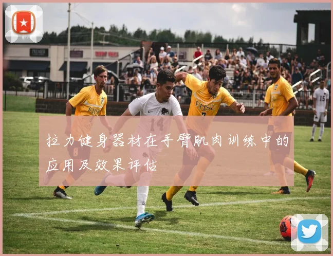 拉力健身器材在手臂肌肉训练中的应用及效果评估