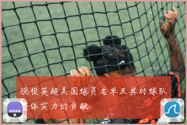 现役英超美国球员名单及其对球队整体实力的贡献