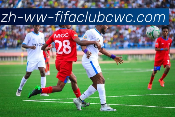 App Interface Preview