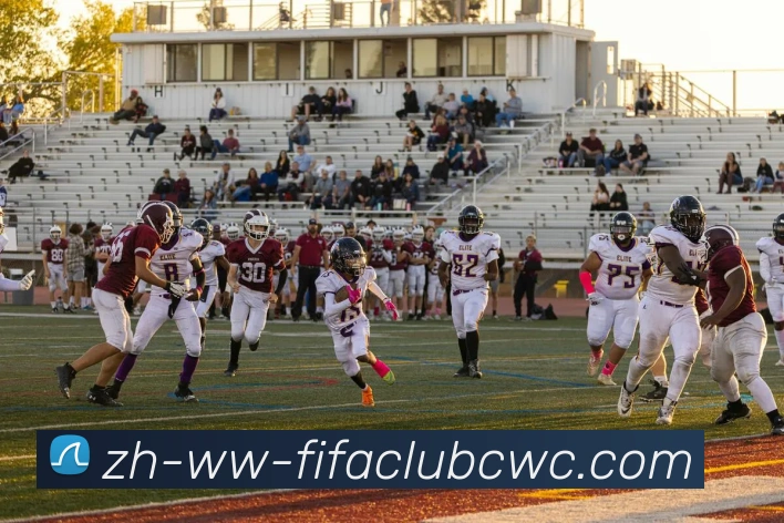 数据防护可视化